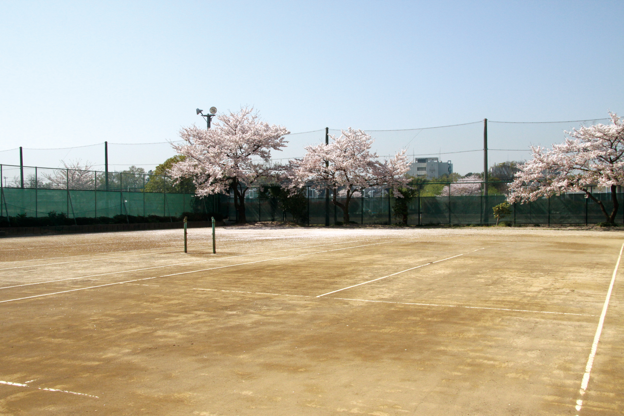 城北埼玉高等学校画像